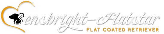 Sensbright-Flatstar